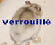 Forum Verrouillé